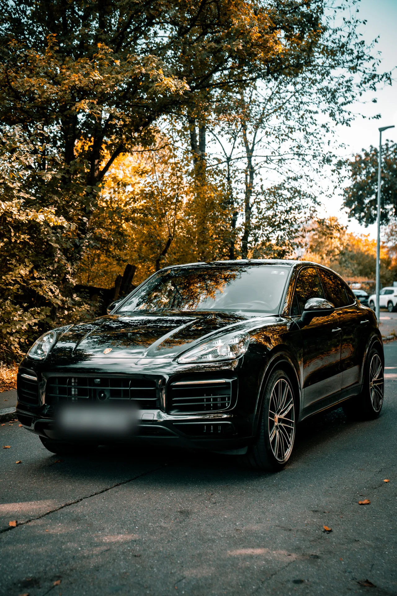 Porsche Cayenne S Coupé Platinum Edition · 440 PS · Luftfederung · Hinterachslenkung · Head-Up · 22 Zoll · 8